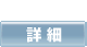 �ڍ�